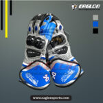 Andrea Dovizioso Ducati Flexbox MotoGP 2018 Leather Race Gloves